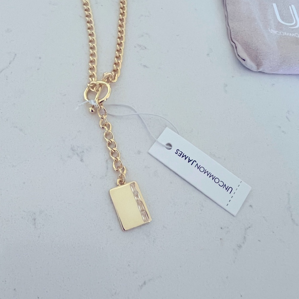 Uncommon James NWT New Chapter Lariat Necklace